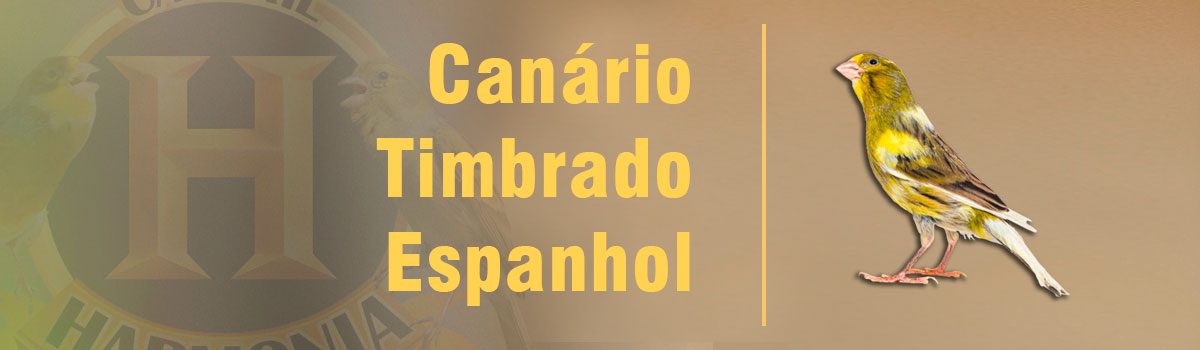 Canaril Harmonia